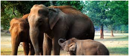 Major cities for tourism in Jharkhand