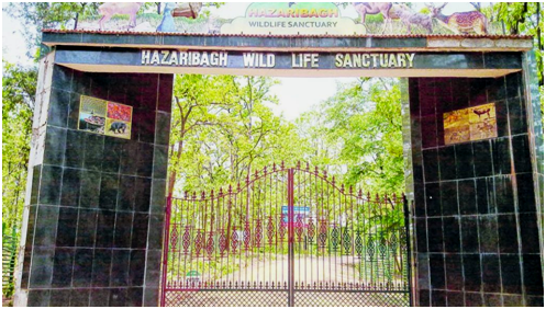 Major cities for tourism in Jharkhand