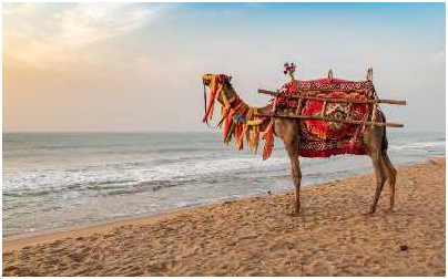 TOURIST PLACES TO VISIT IN ODISHA