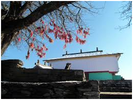 Best Things to do In Himachal Pradesh