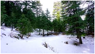 Best Things to do In Himachal Pradesh