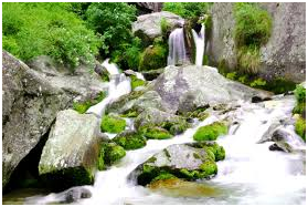 Best Things to do In Himachal Pradesh