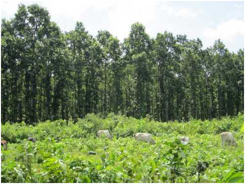 TOURIST PLACES TO VISIT IN ODISHA