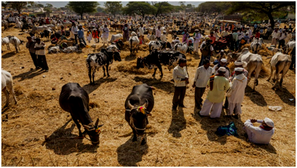 Best Events to see in Jharkhand 