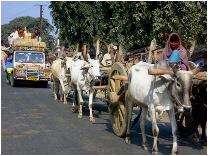 Best Events to see in Jharkhand 