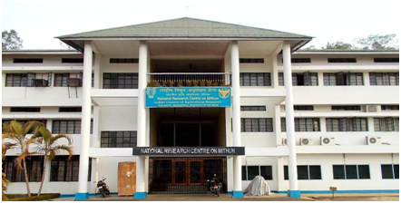 Top colleges in Nagaland