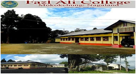 Top colleges in Nagaland