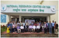 Colleges in Arunachal Pradesh