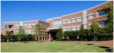 Colleges in Arunachal Pradesh