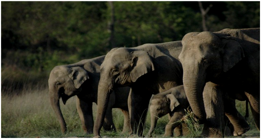 Tourist Places to see in Uttrakhand 