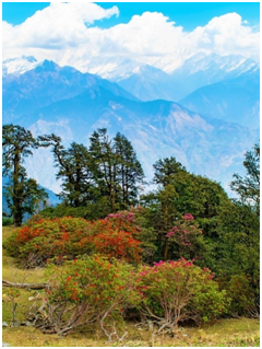 Places to visit in Uttrakhand 