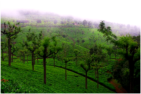 Places to visit in Uttrakhand 