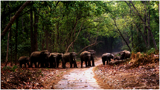 Tourist Places to see in Uttrakhand 