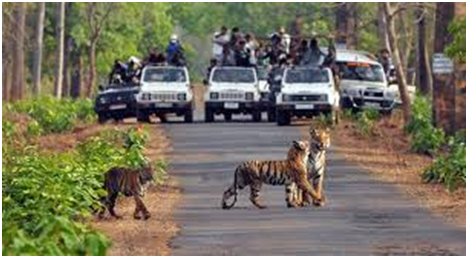 things to do in Uttarakhand