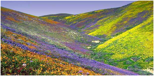 Activities to do in Uttrakhand