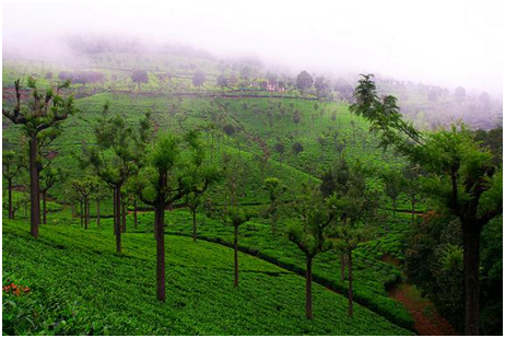Activities to do in Uttrakhand
