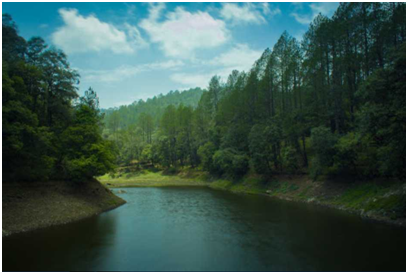 Activities to do in Uttrakhand