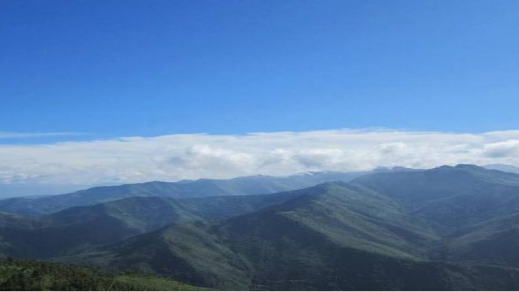 Best things to do in Nagaland
