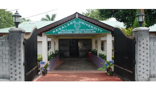 Top colleges in Nagaland