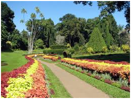 places to visit in Sri Lanka