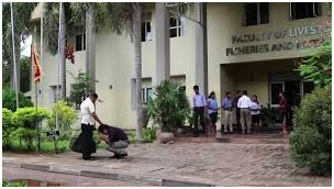Universities in Srilanka