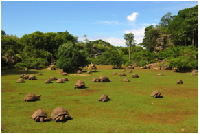 Places to visit in Mauritius 
