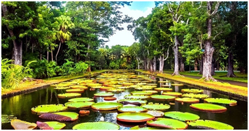 Places to visit in Mauritius 
