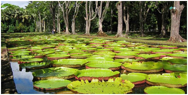 Places to visit in Mauritius 