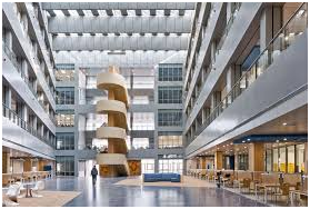 University in China