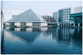 University in China