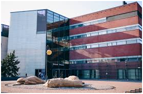 University in Finland