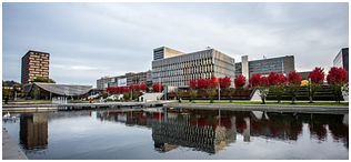 University in the Netherlands