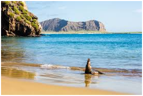 Places to visit in Ecuador
