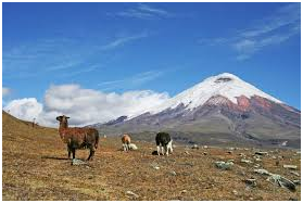 Places to visit in Ecuador