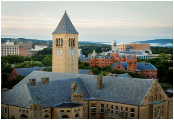 University in USA