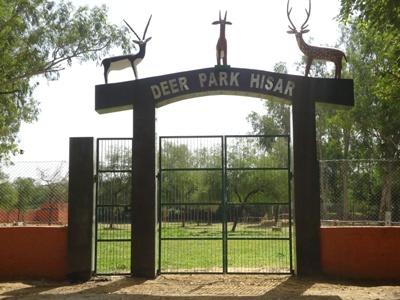 Best places to visit in Hisar | Places to visit in Hisar | Tourist places in Hisar | Historical places in Hisar | Places for a family trip in Hisar |