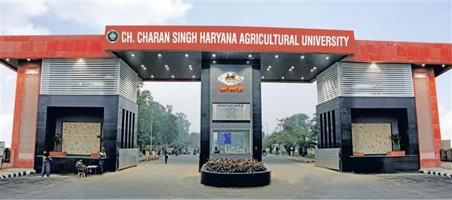 Best places to visit in Hisar | Places to visit in Hisar | Tourist places in Hisar | Historical places in Hisar | Places for a family trip in Hisar |