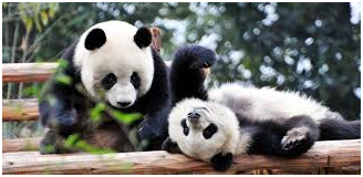 Best place to visit in China