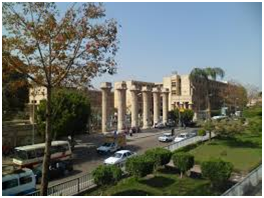 Universities in Egypt