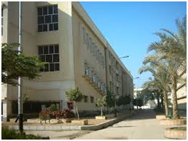 Universities in Egypt