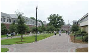 Universities in Georgia 