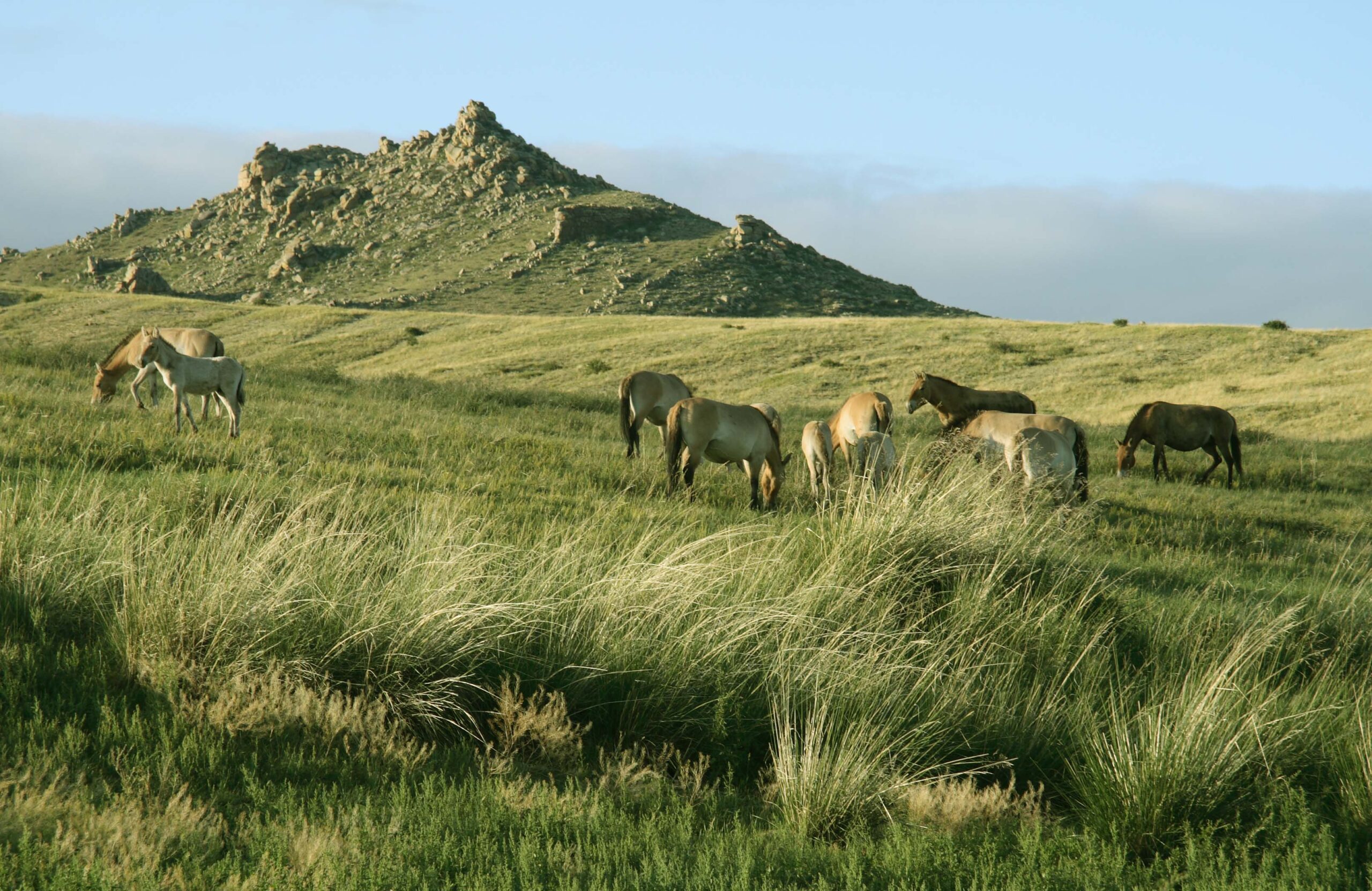 Must visit places in Mongolia | Best places to visit in Mongolia