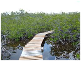 Places to visit in the Bahamas