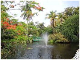 Main attraction points for tourists in the Commonwealth of the Bahamas