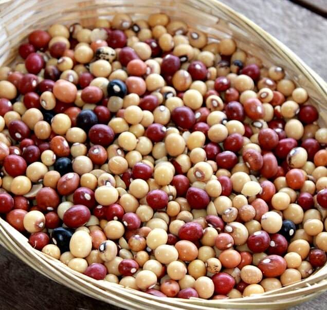 Famous dishes of Botswana