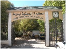 Best places to visit in Algeria 