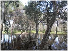 Best places to visit in Algeria 