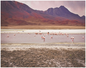 Famous Places to visit in Bolivia