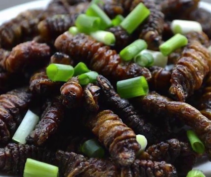 Famous dishes of Botswana