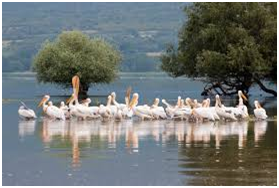 Tourist attraction points in Greece | Best places to visit in Greece 